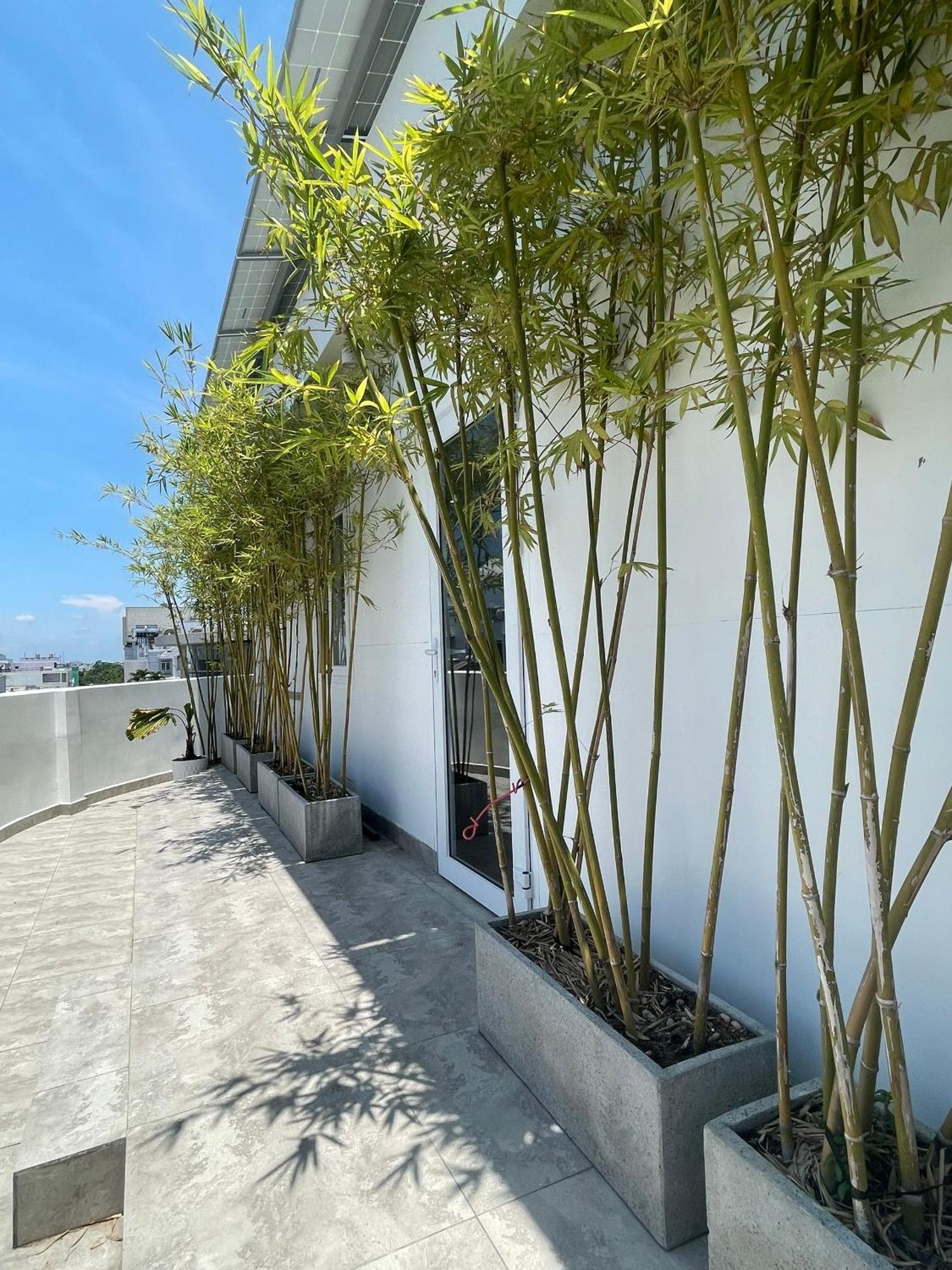 The Ck Hotel Chau Doc Exterior foto